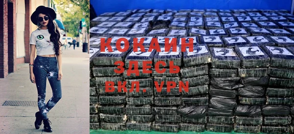 кокс Алексин