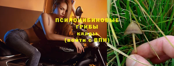 кокс Алексин